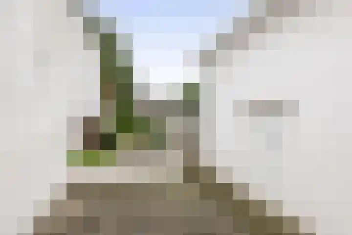 Napoleonbaan Noord 96 Geleen thumbnail 34