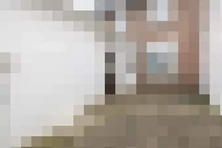 Napoleonbaan Noord 96 Geleen thumbnail 35