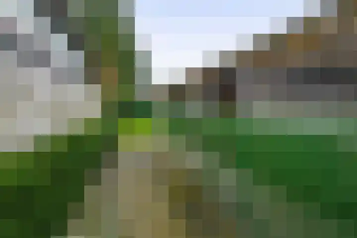 Napoleonbaan Noord 96 Geleen thumbnail 36