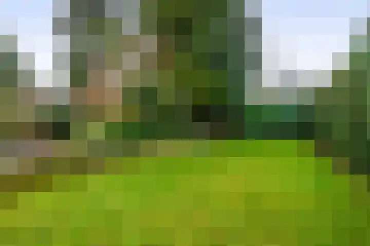 Napoleonbaan Noord 96 Geleen thumbnail 37