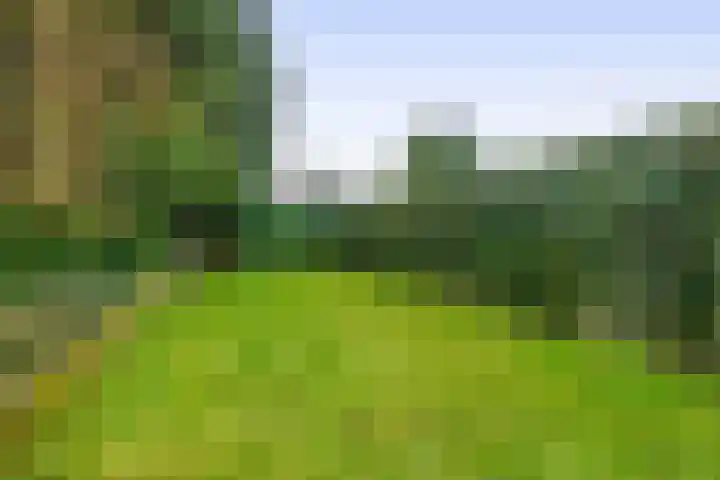 Napoleonbaan Noord 96 Geleen thumbnail 38