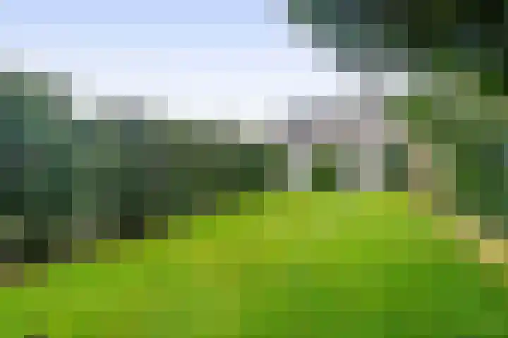 Napoleonbaan Noord 96 Geleen thumbnail 39