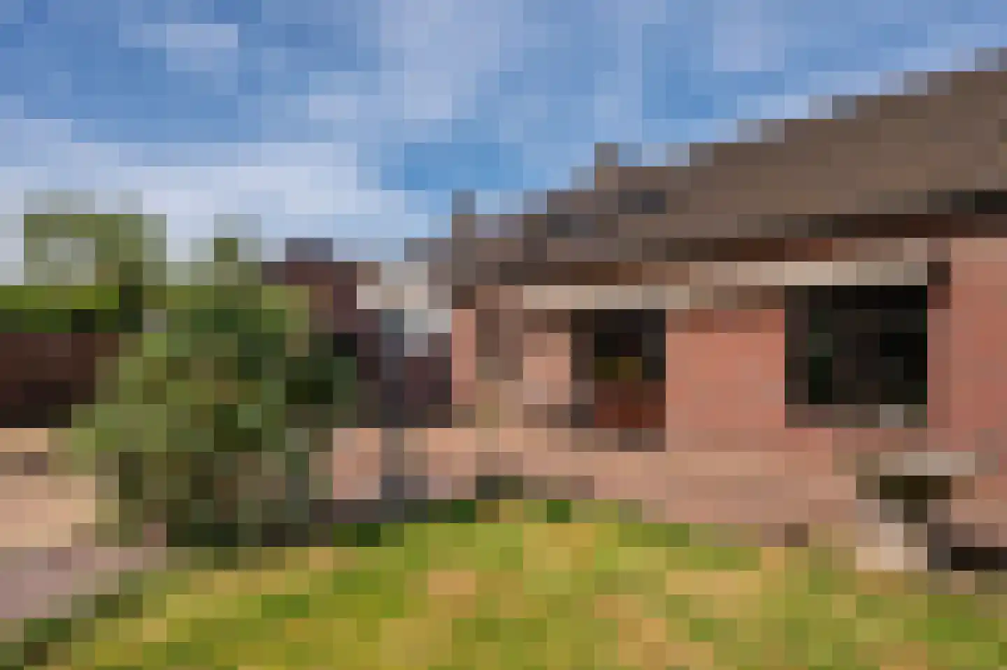 Napoleonsbaan Noord 31 a Baarlo thumbnail 35