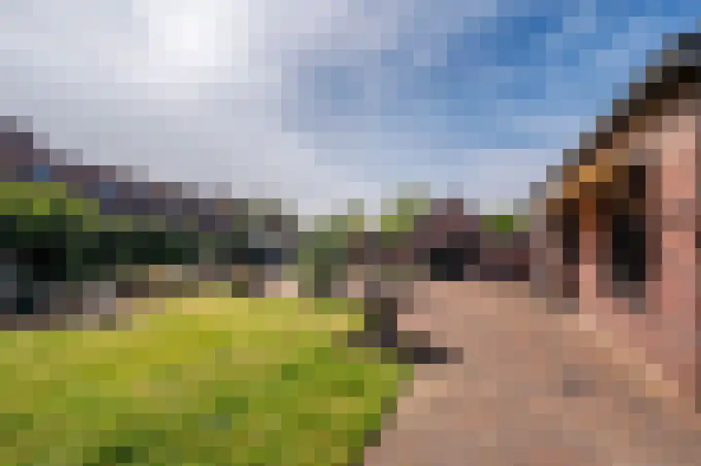Napoleonsbaan Noord 31 a Baarlo thumbnail 38