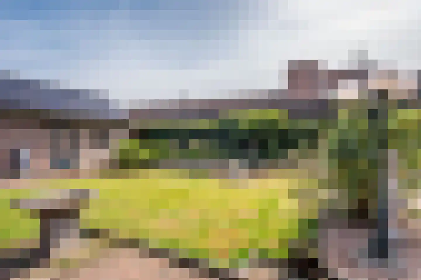 Napoleonsbaan Noord 31 a Baarlo thumbnail 39