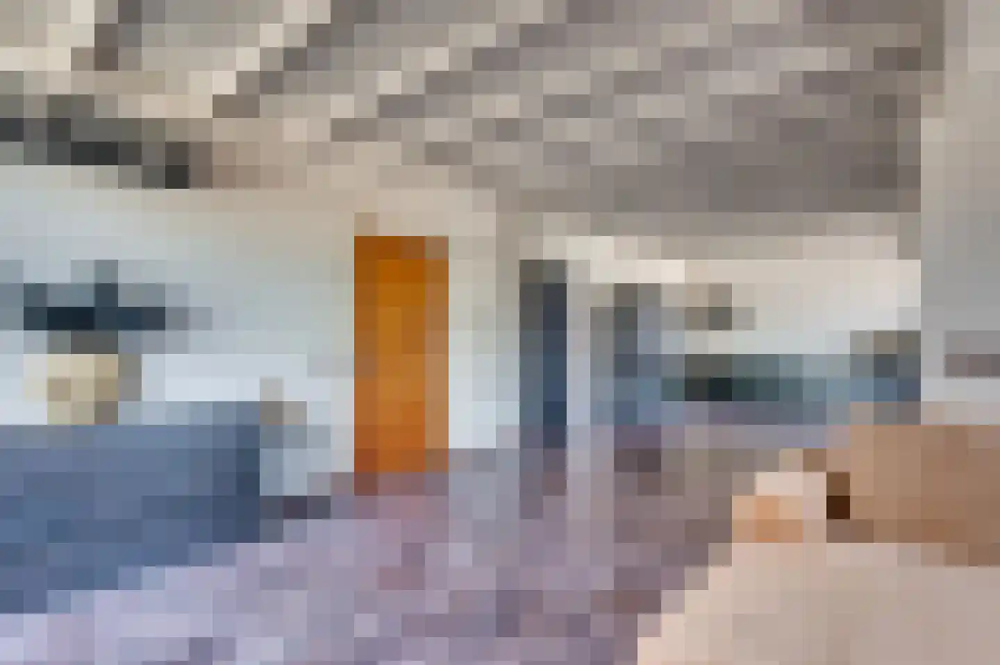Napoleonsbaan Noord 31 a Baarlo thumbnail 6