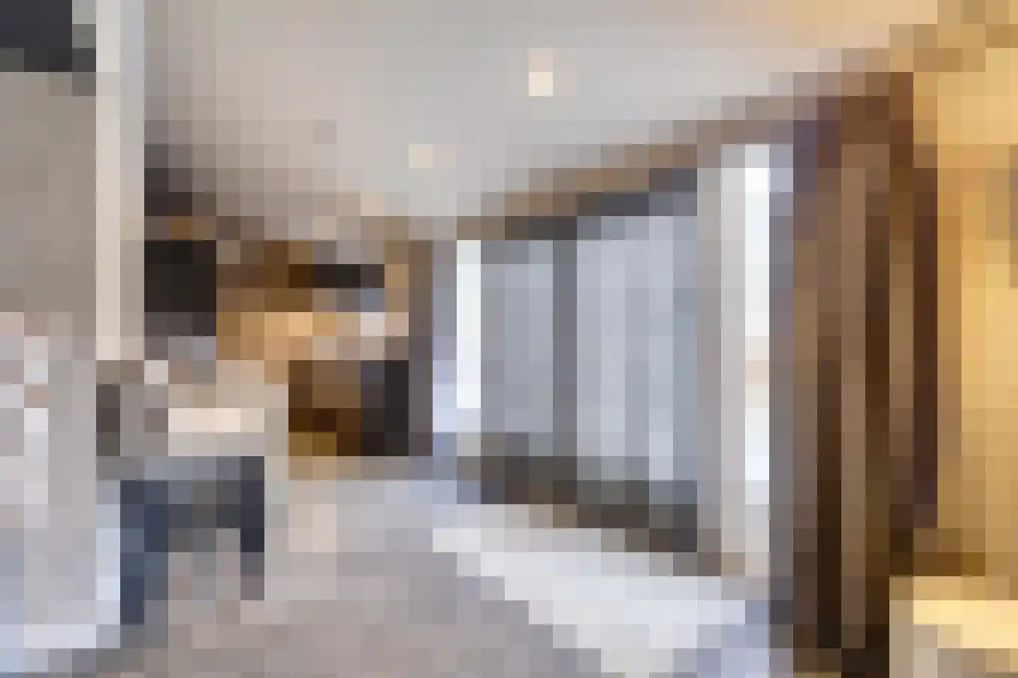 Napoleonsbaan Zuid 46 Baarlo thumbnail 14