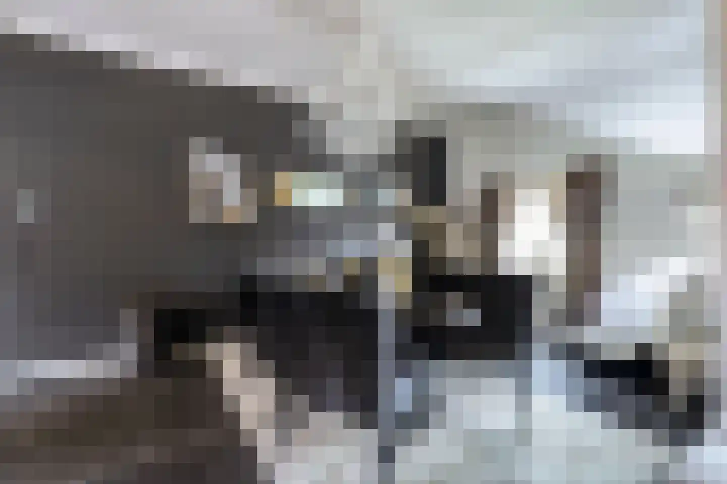 Napoleonsbaan Zuid 46 Baarlo thumbnail 15