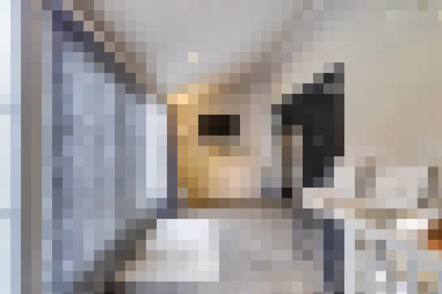 Napoleonsbaan Zuid 46 Baarlo thumbnail 15