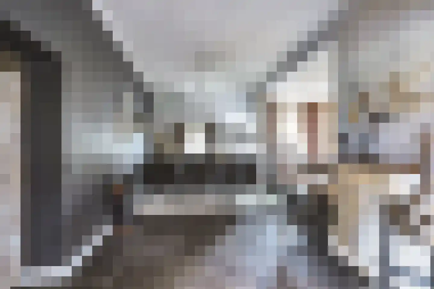 Napoleonsbaan Zuid 46 Baarlo thumbnail 16
