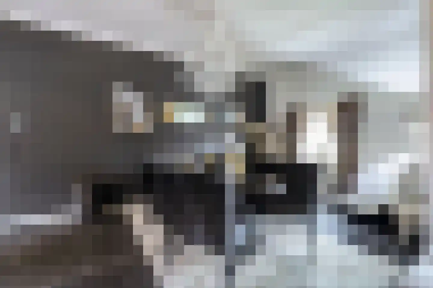 Napoleonsbaan Zuid 46 Baarlo thumbnail 17