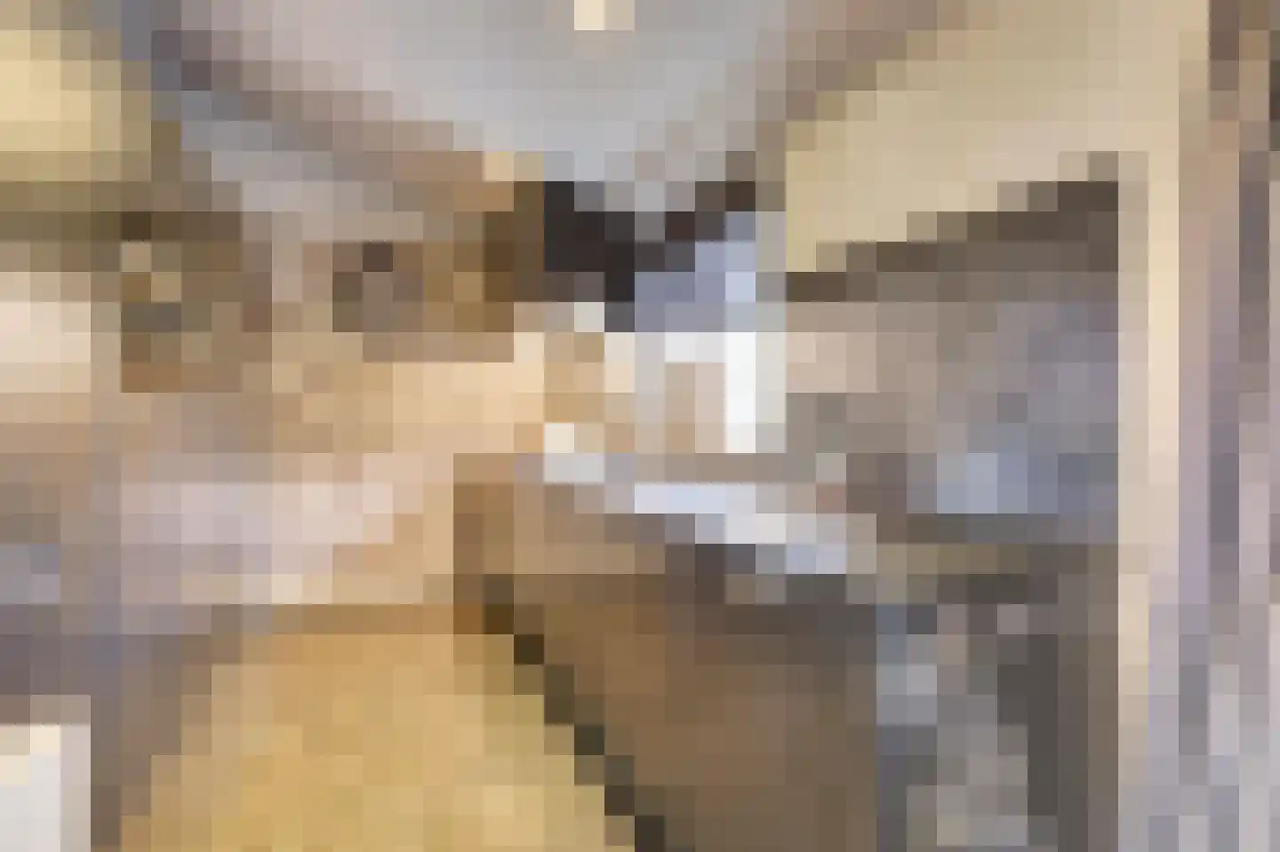 Napoleonsbaan Zuid 46 Baarlo thumbnail 18