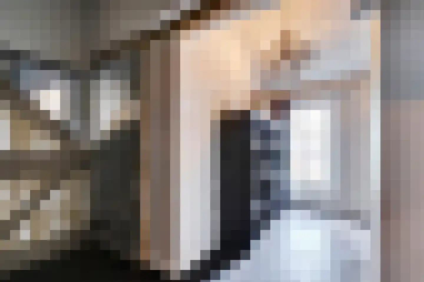 Napoleonsbaan Zuid 46 Baarlo thumbnail 18