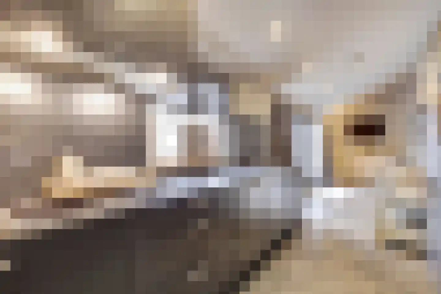 Napoleonsbaan Zuid 46 Baarlo thumbnail 19