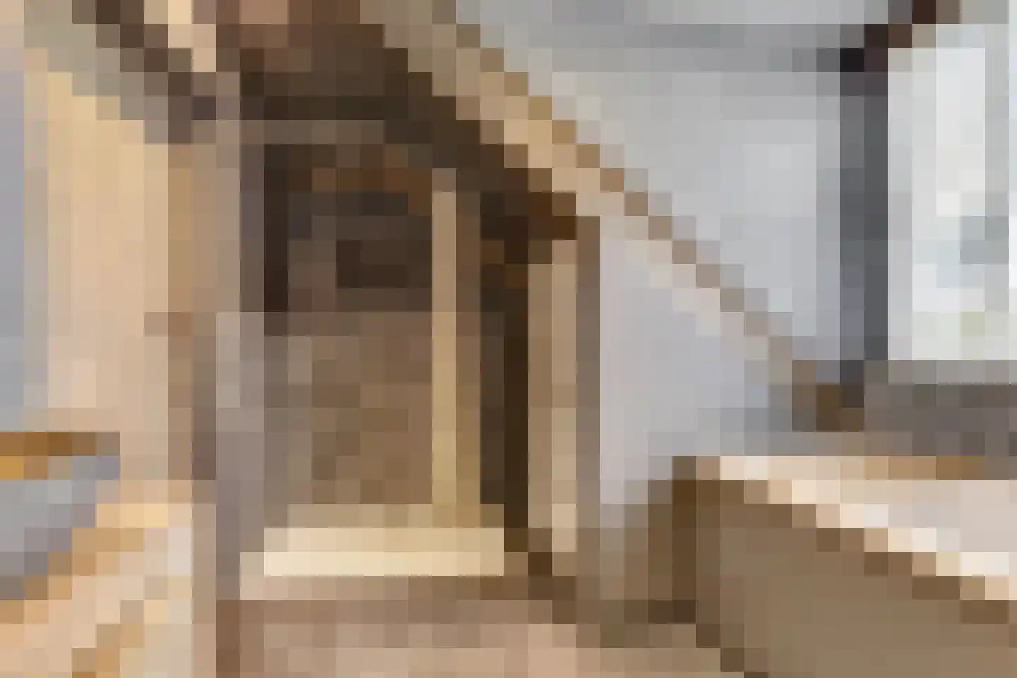 Napoleonsbaan Zuid 46 Baarlo thumbnail 30