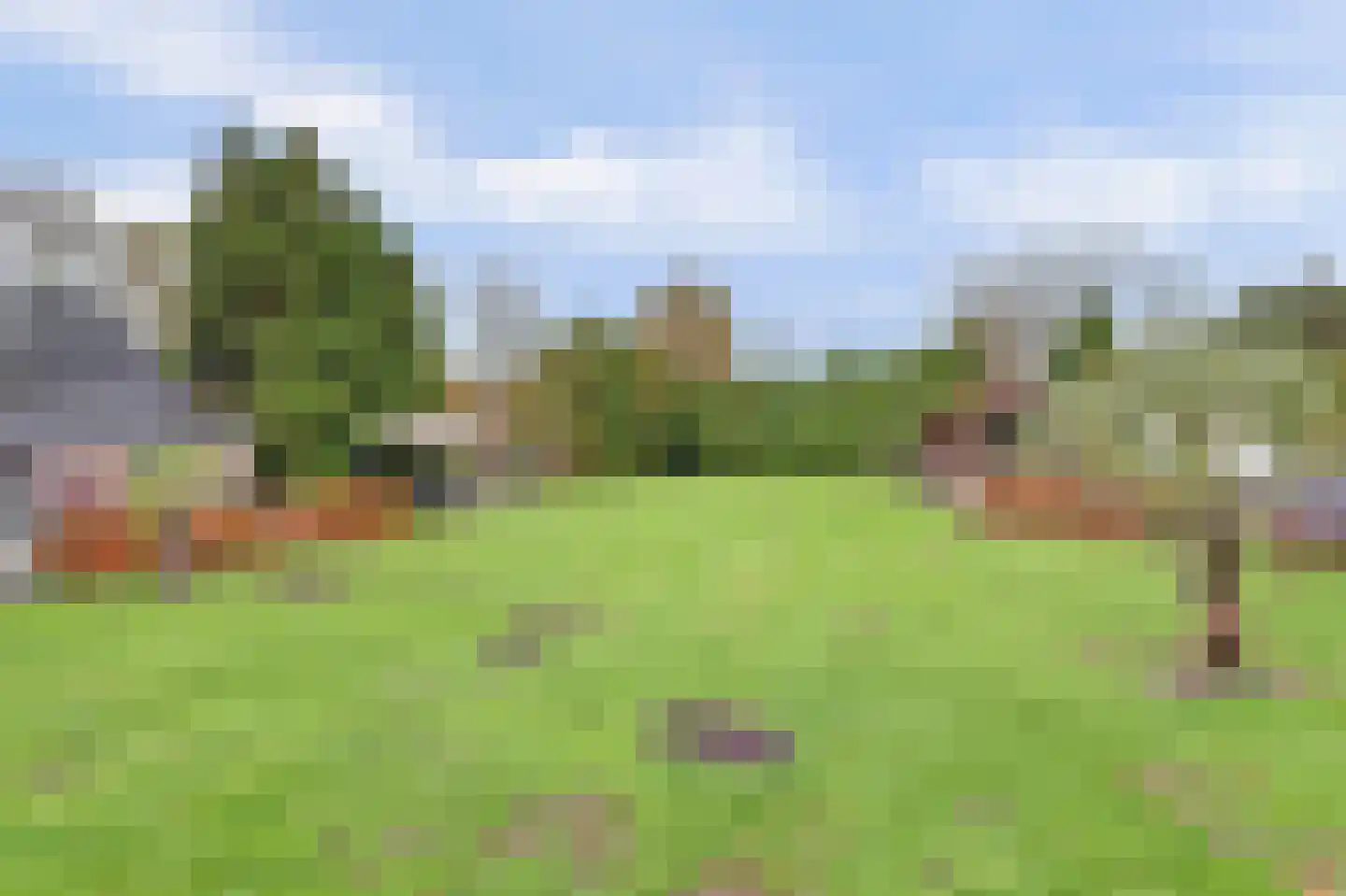 Napoleonsbaan Zuid 46 Baarlo thumbnail 33