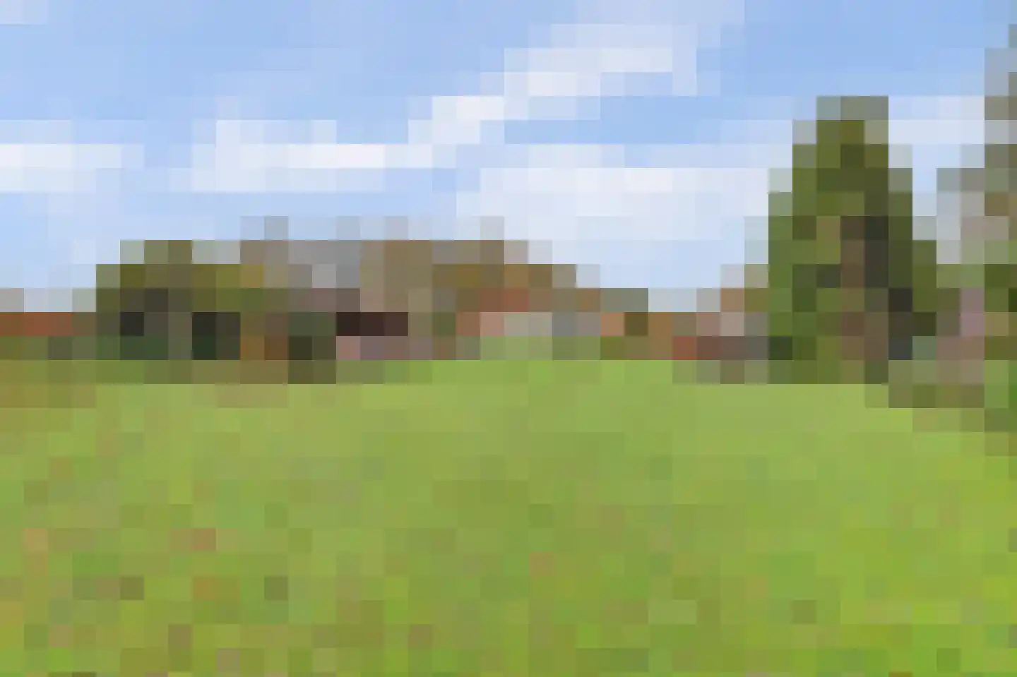 Napoleonsbaan Zuid 46 Baarlo thumbnail 36