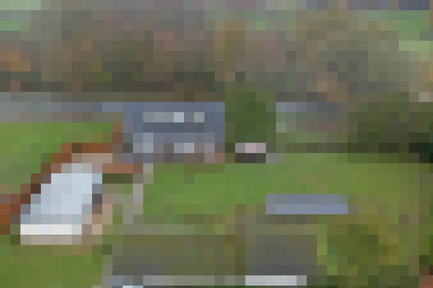 Napoleonsbaan Zuid 46 Baarlo thumbnail 51