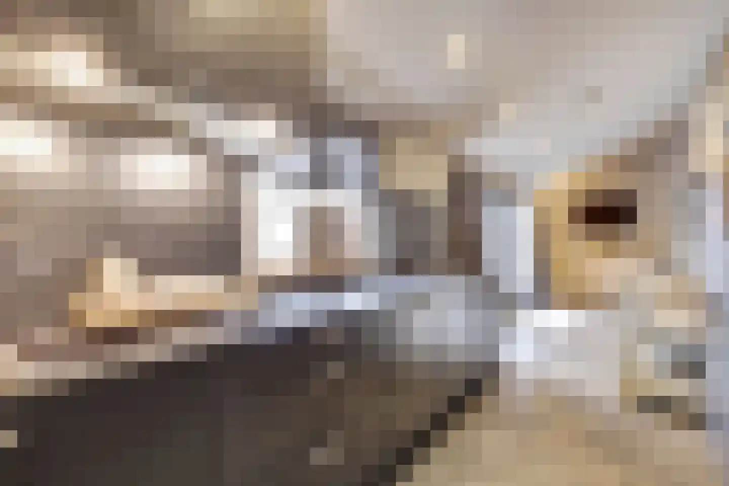 Napoleonsbaan Zuid 46 Baarlo thumbnail 6