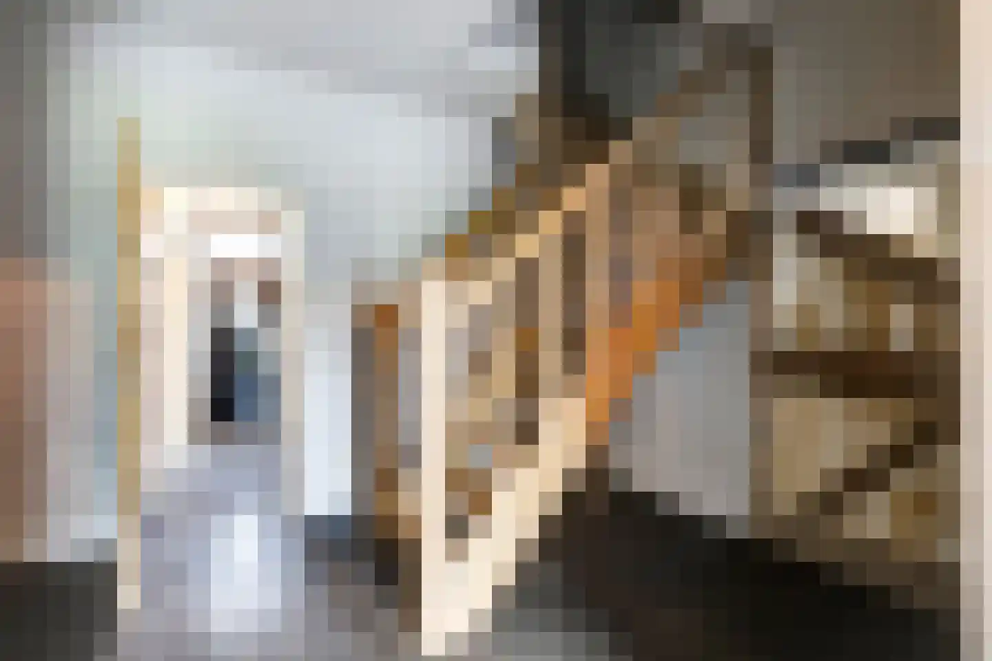 Napoleonsbaan Zuid 46 Baarlo thumbnail 7