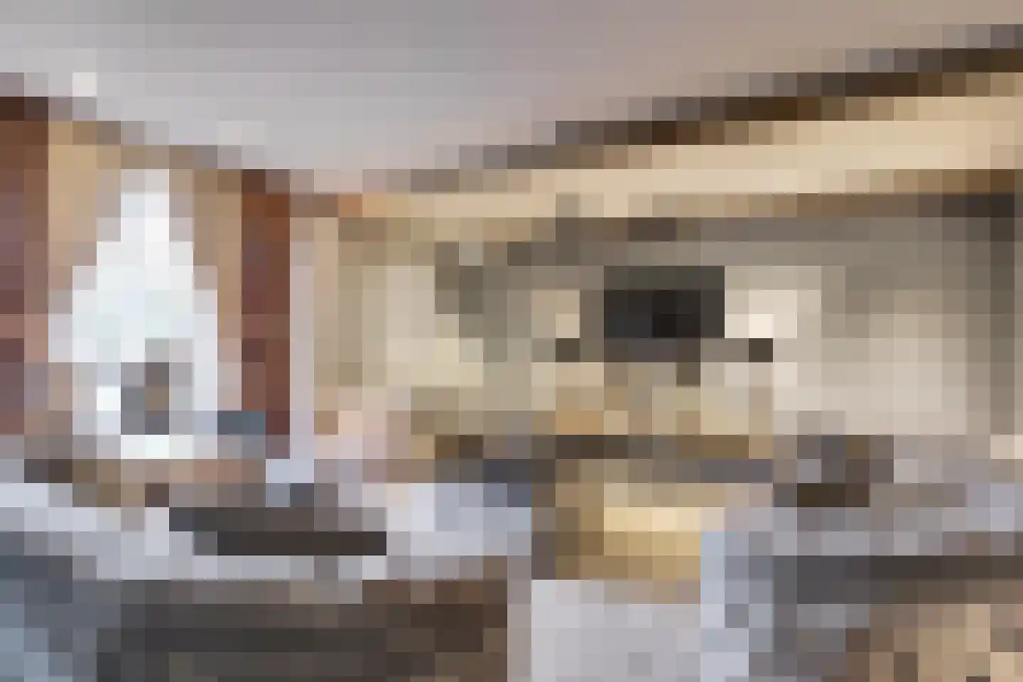 Napoleonsbaan Zuid 46 Baarlo thumbnail 9
