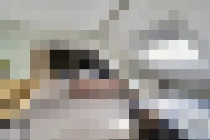 Napoleonsbaan Zuid 48 Baarlo thumbnail 33