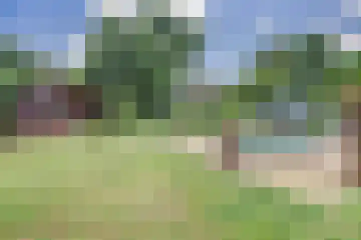 Napoleonsbaan Zuid 48 Baarlo thumbnail 44