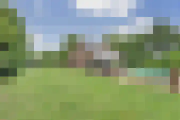 Napoleonsbaan Zuid 48 Baarlo thumbnail 48