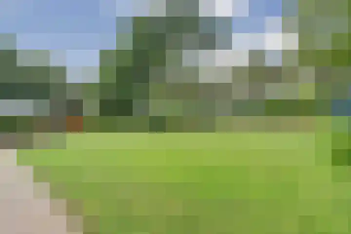 Napoleonsbaan Zuid 48 Baarlo thumbnail 49