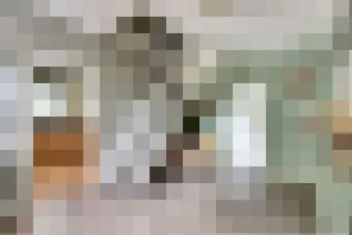 Napoleonsbaan Zuid 48 Baarlo thumbnail 5