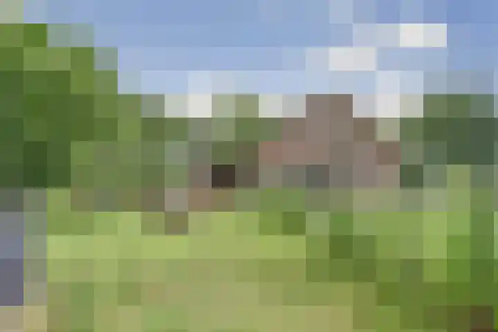 Napoleonsbaan Zuid 48 Baarlo thumbnail 51