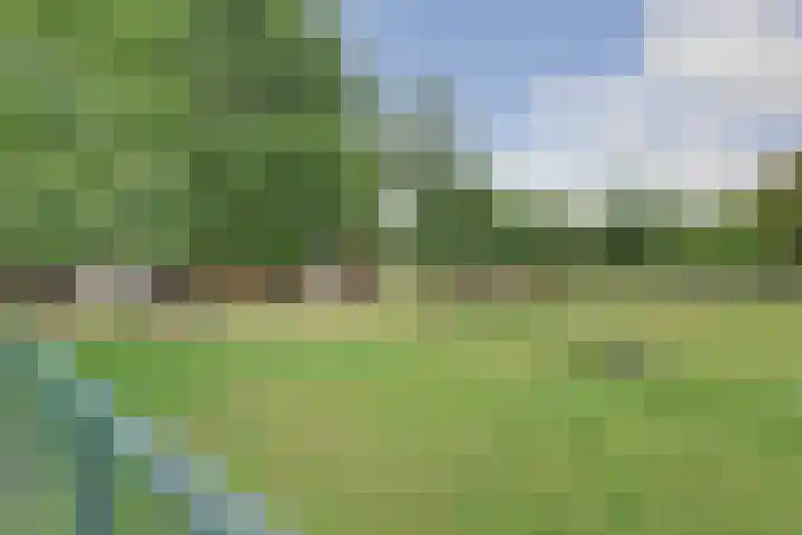 Napoleonsbaan Zuid 48 Baarlo thumbnail 53