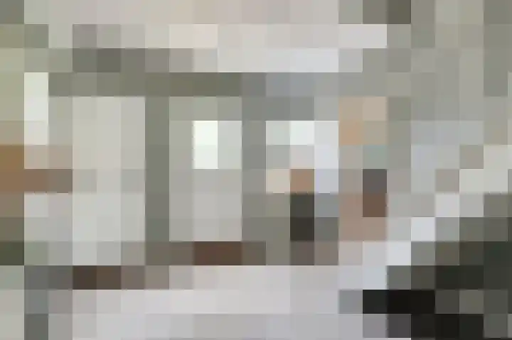 Napoleonsbaan Zuid 48 Baarlo thumbnail 6
