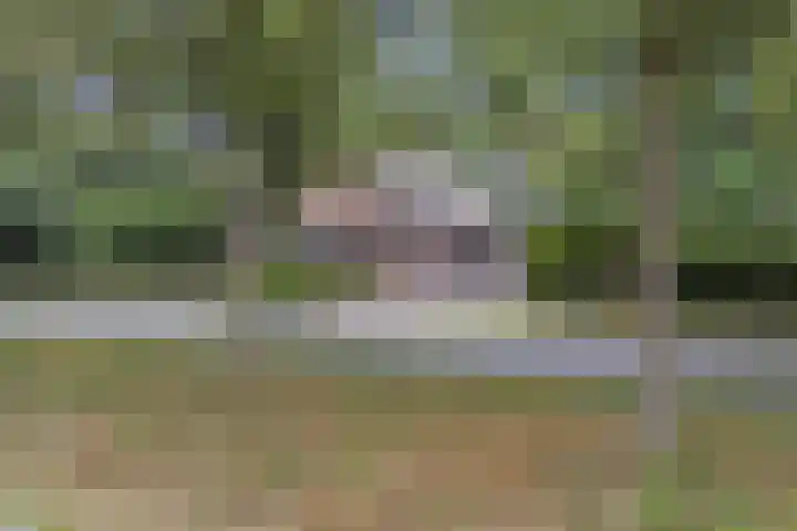 Napoleonsbaan Zuid 48 Baarlo thumbnail 61