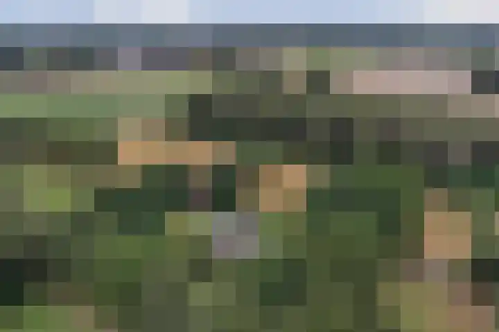 Napoleonsbaan Zuid 48 Baarlo thumbnail 62