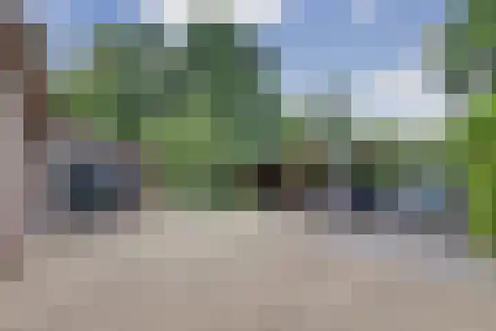 Napoleonsbaan Zuid 48 Baarlo thumbnail 63