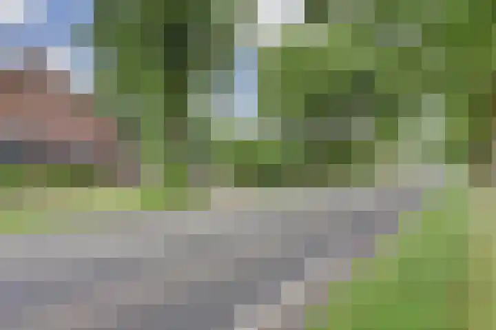 Napoleonsbaan Zuid 48 Baarlo thumbnail 65