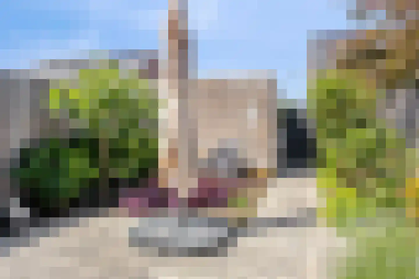Napoleonshoed 11 Oosterhout thumbnail 20