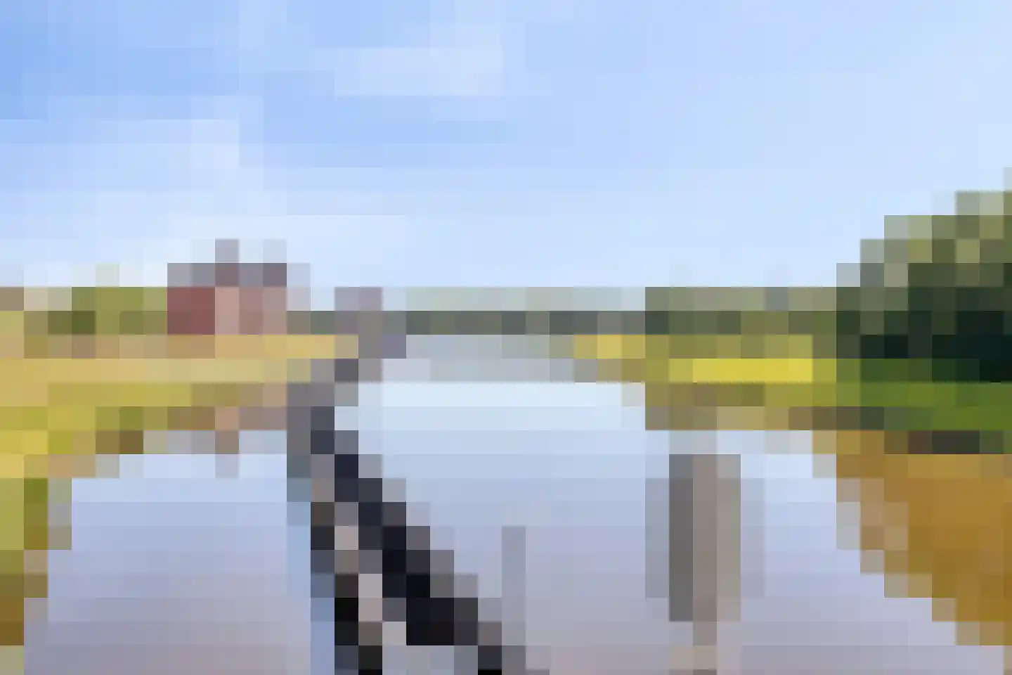 Napoleonshoed 11 Oosterhout thumbnail 23
