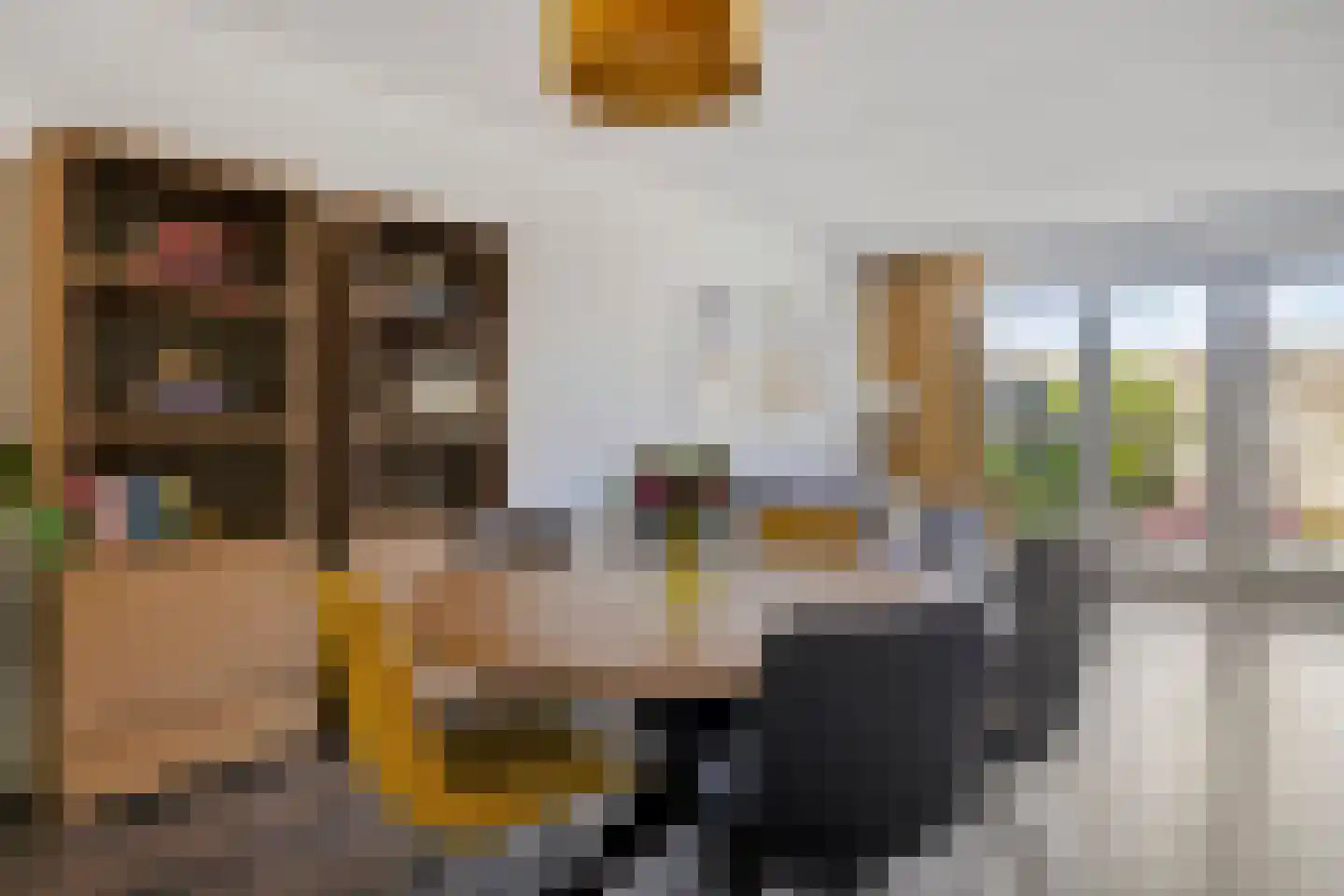 Napoleonshoed 11 Oosterhout thumbnail 8
