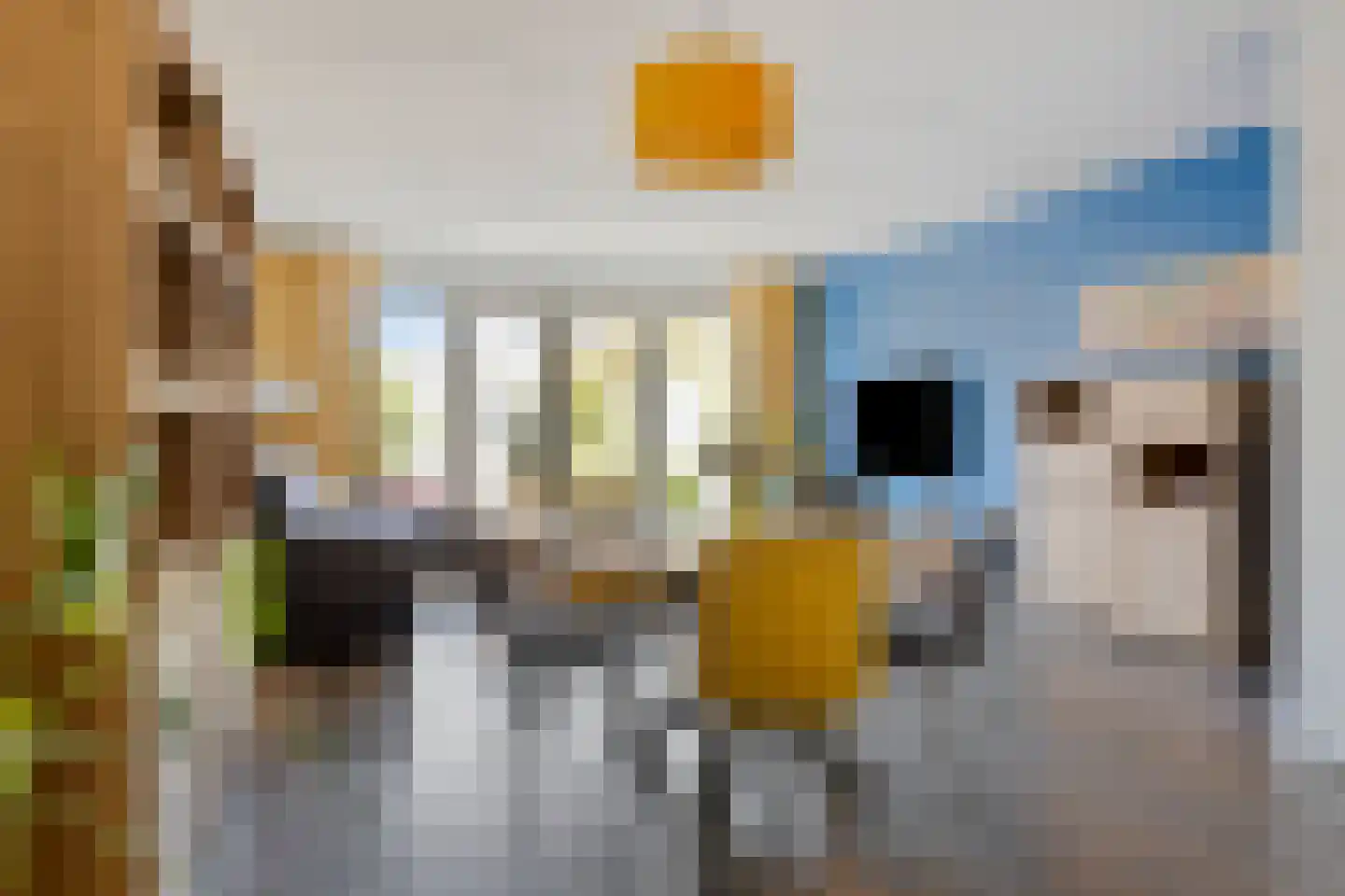 Napoleonshoed 11 Oosterhout thumbnail 9