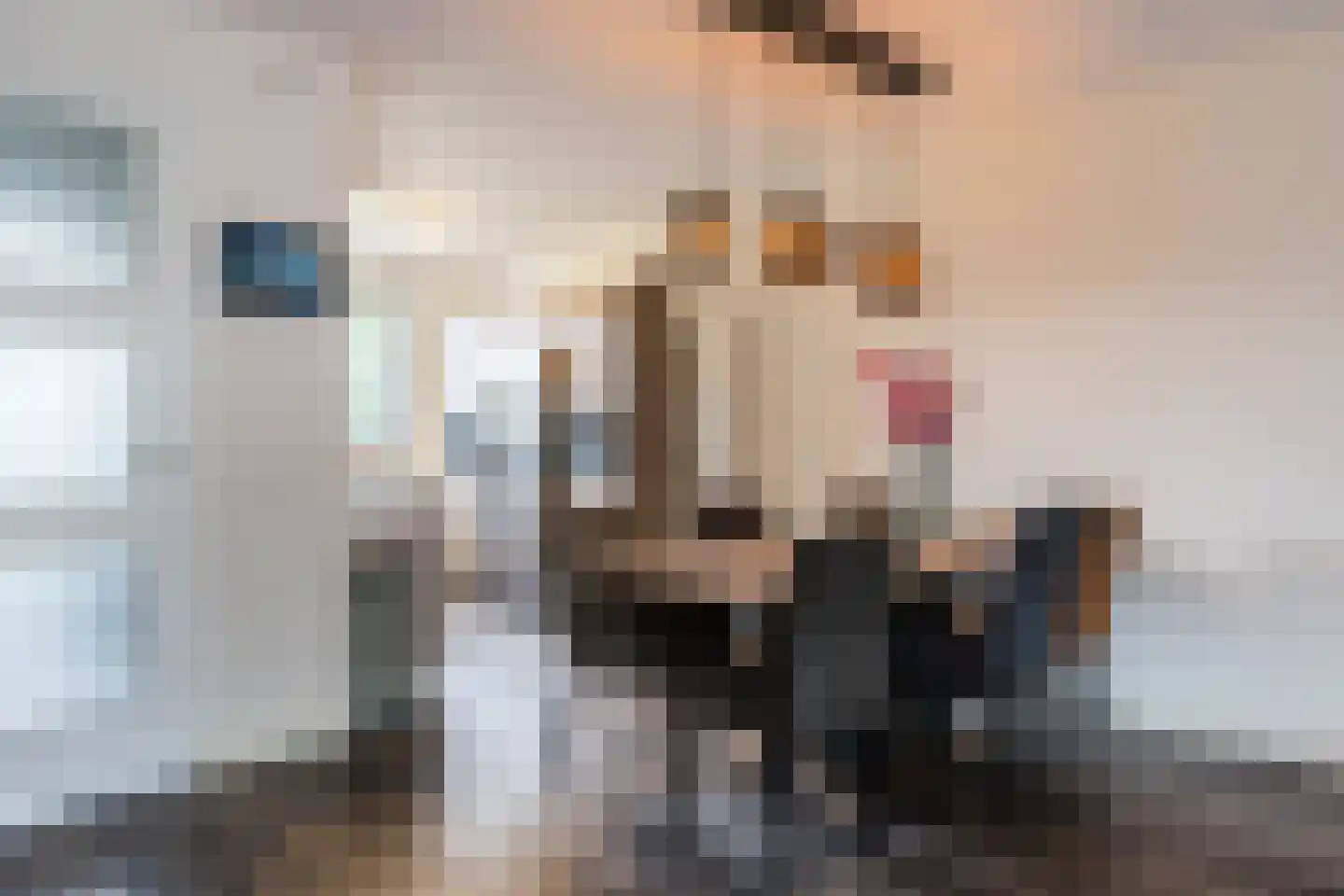Napoleonshoed 21 Oosterhout thumbnail 10