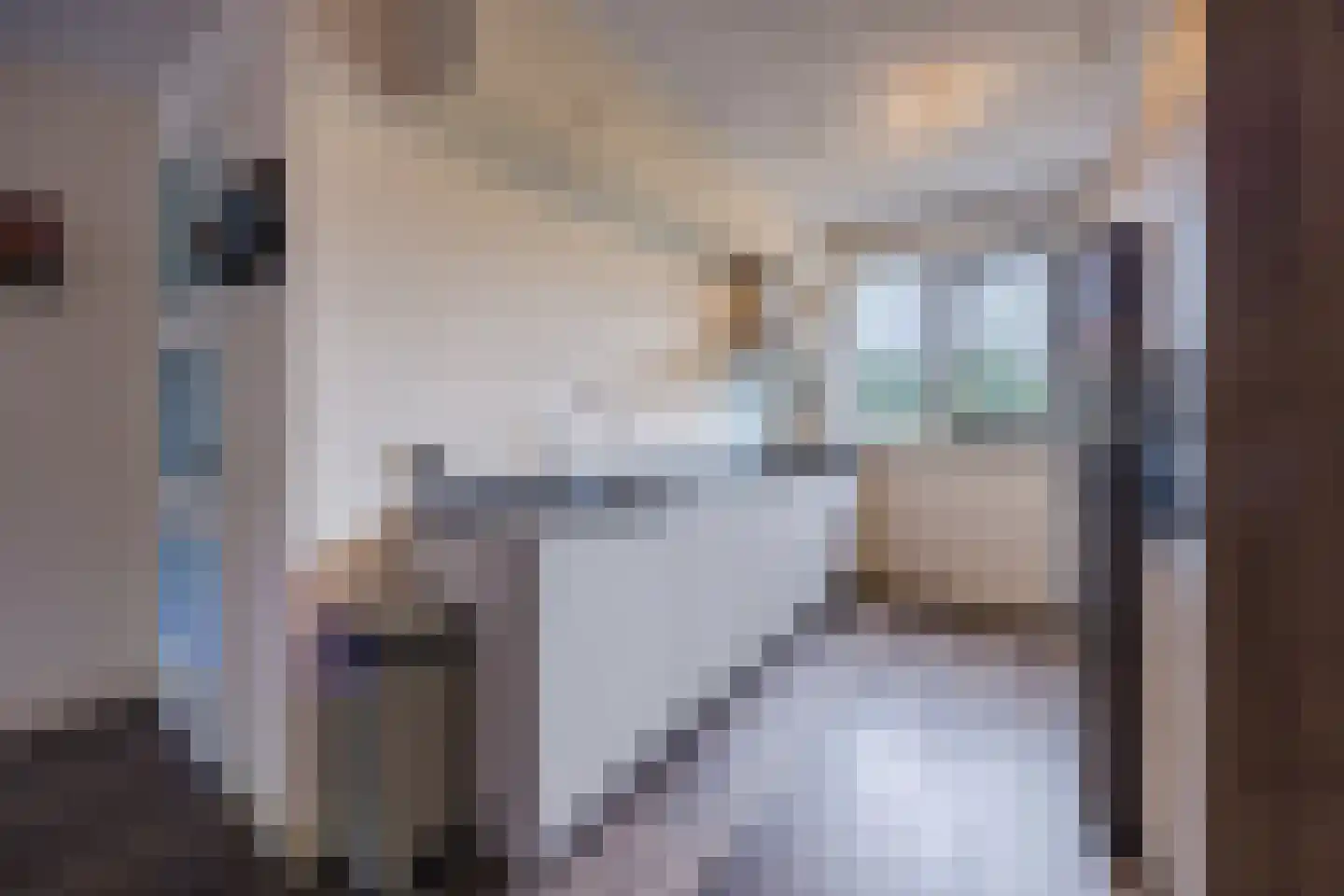 Napoleonshoed 21 Oosterhout thumbnail 12