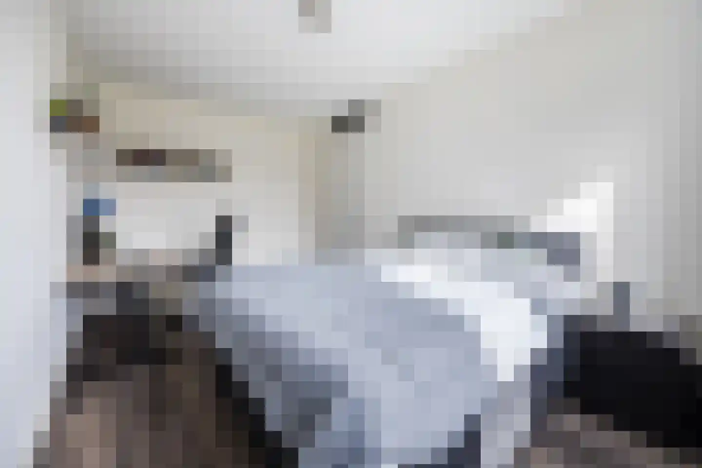 Napoleonshoed 21 Oosterhout thumbnail 19