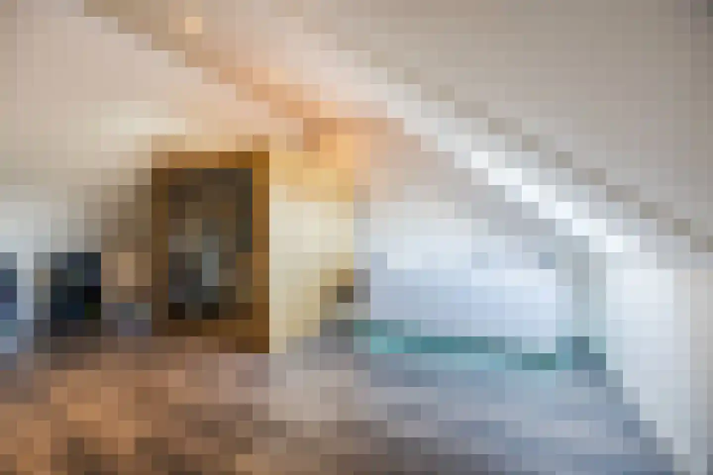 Napoleonshoed 21 Oosterhout thumbnail 28