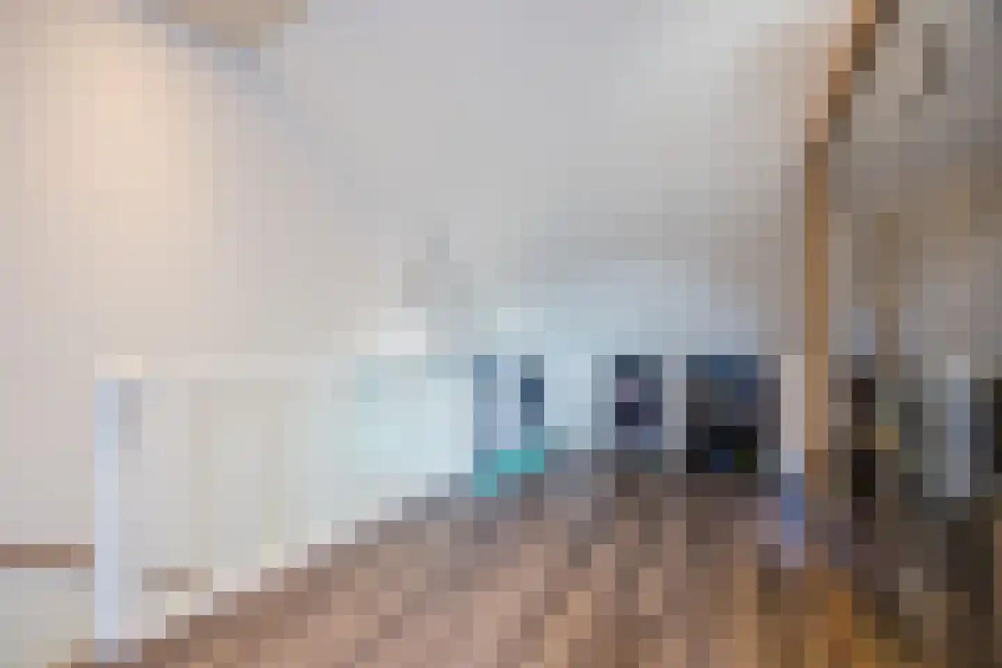 Napoleonshoed 21 Oosterhout thumbnail 31
