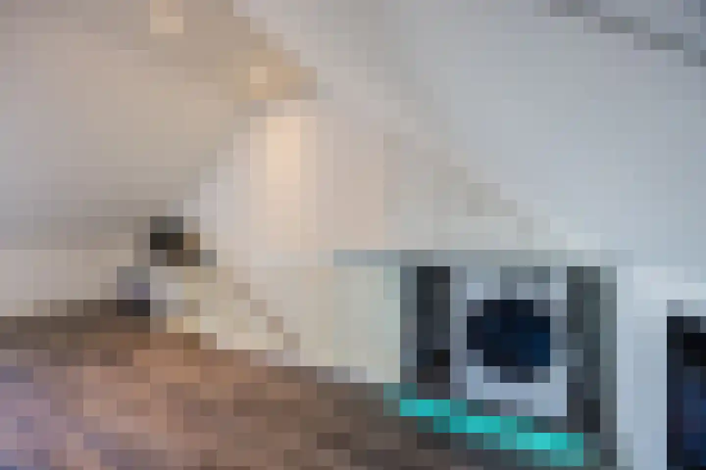 Napoleonshoed 21 Oosterhout thumbnail 32