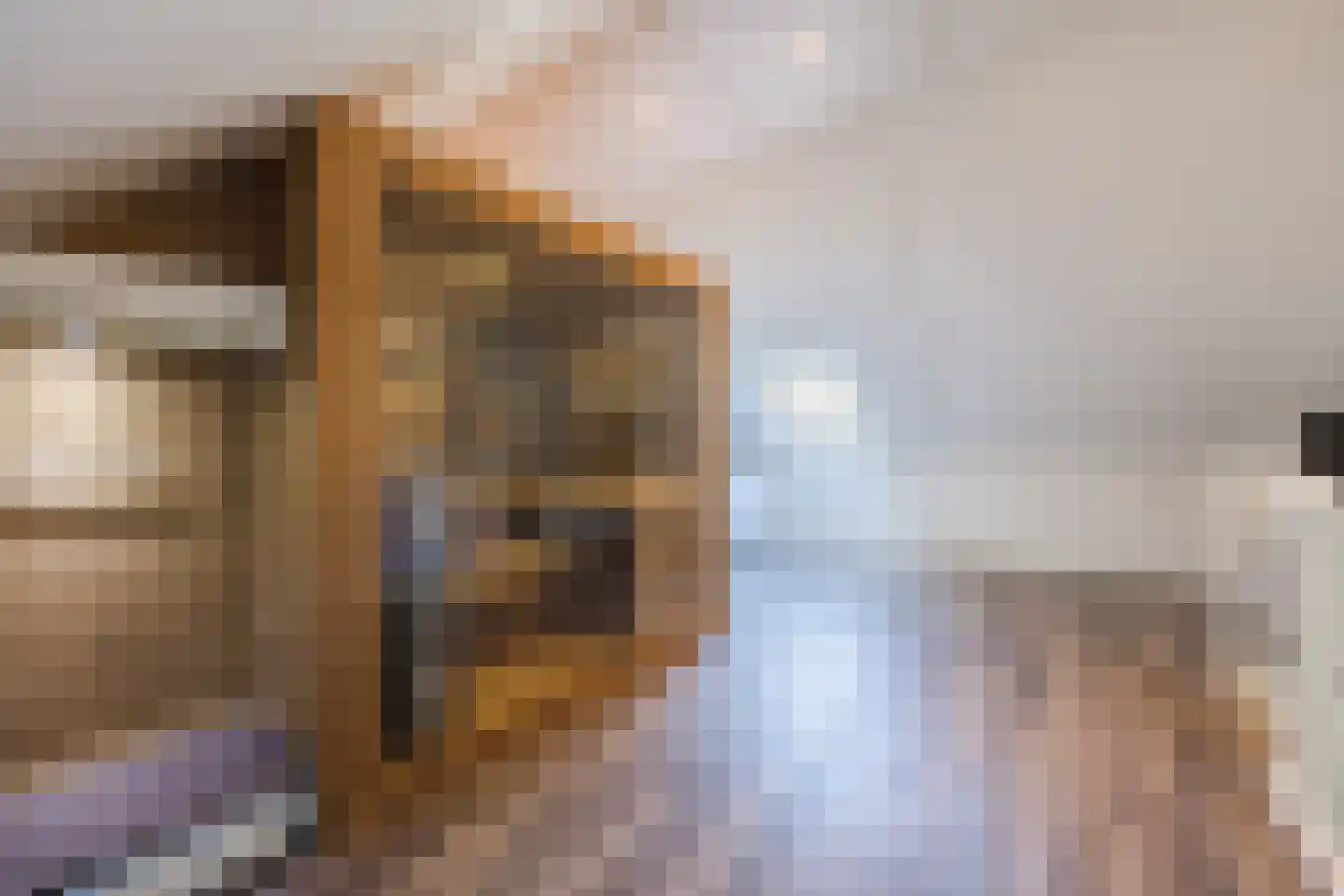 Napoleonshoed 21 Oosterhout thumbnail 33