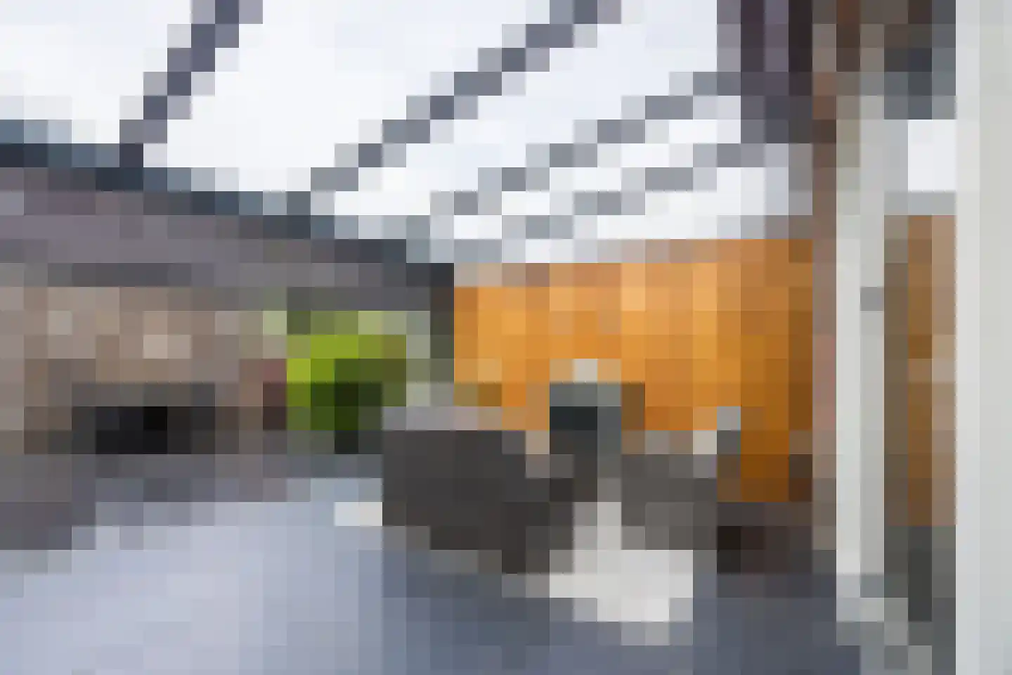 Napoleonshoed 21 Oosterhout thumbnail 35