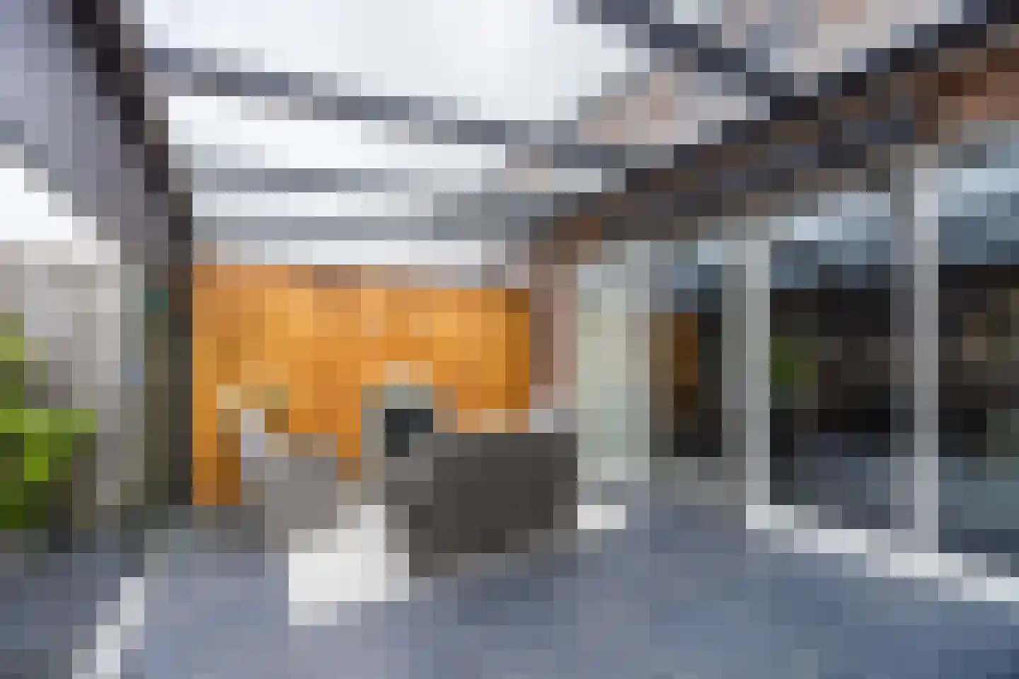 Napoleonshoed 21 Oosterhout thumbnail 36
